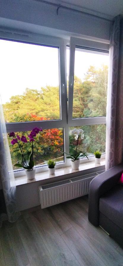 Apartament "Calimera" Lejlighed Świnoujście  Eksteriør billede
